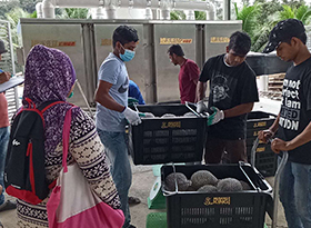 Durian liquid nitrogen freezer