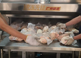 Frozen chicken tunnel quick freezing line