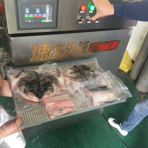 大頭魚速凍柜.jpg